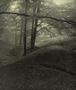 Page: - 145 | Aperture