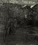 Page: - 149 | Aperture