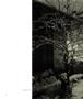 Page: - 150 | Aperture