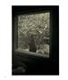 Page: - 82 | Aperture