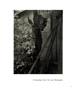 Page: - 93 | Aperture
