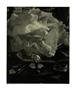 Page: - 99 | Aperture