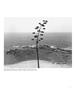 Page: - 11 | Aperture