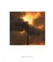 Page: - 26 | Aperture