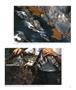 Page: - 39 | Aperture