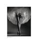 Page: - 36 | Aperture