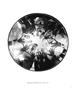 Page: - 3 | Aperture