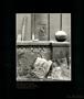 Page: - 98 | Aperture
