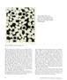 Page: - 18 | Aperture