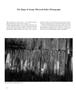 Page: - 42 | Aperture