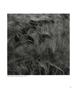 Page: - 65 | Aperture