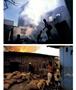 Page: - 55 | Aperture