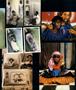Page: - 63 | Aperture
