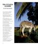 Page: - 66 | Aperture