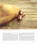 Page: - 49 | Aperture