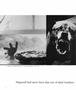 Page: - 6 | Aperture