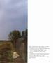 Page: - 57 | Aperture