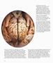 Page: - 64 | Aperture