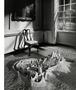 Page: - 71 | Aperture