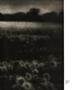 Page: - 11 | Aperture