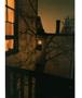 Page: - 31 | Aperture