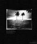 Page: - 82 | Aperture