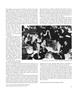 Page: - 25 | Aperture