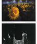 Page: - 32 | Aperture