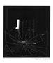 Page: - 43 | Aperture