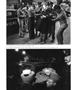 Page: - 55 | Aperture