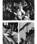Page: - 61 | Aperture