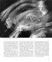 Page: - 71 | Aperture