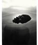 Page: - 73 | Aperture