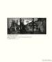 Page: - 82 | Aperture