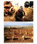 Page: - 33 | Aperture