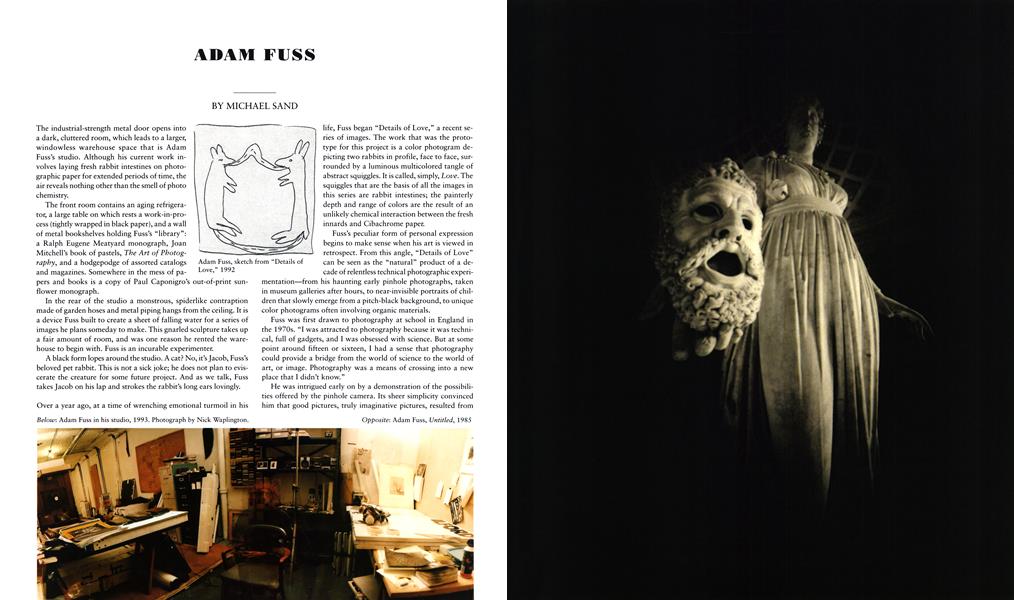Adam Fuss | Aperture | Fall 1993