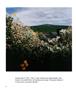 Page: - 50 | Aperture
