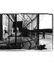 Page: - 73 | Aperture