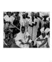 Page: - 110 | Aperture