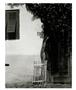 Page: - 115 | Aperture