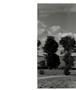 Page: - 28 | Aperture