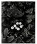 Page: - 5 | Aperture