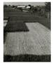 Page: - 54 | Aperture