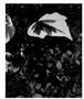 Page: - 6 | Aperture