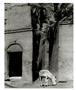 Page: - 86 | Aperture