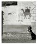 Page: - 87 | Aperture