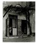 Page: - 96 | Aperture