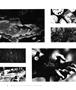 Page: - 48 | Aperture