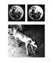 Page: - 53 | Aperture