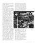 Page: - 61 | Aperture